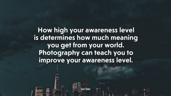How high your awareness level is determines how much meaning you get from your world. Photography can teach you to improve your awareness level. | Ansel Adams quote