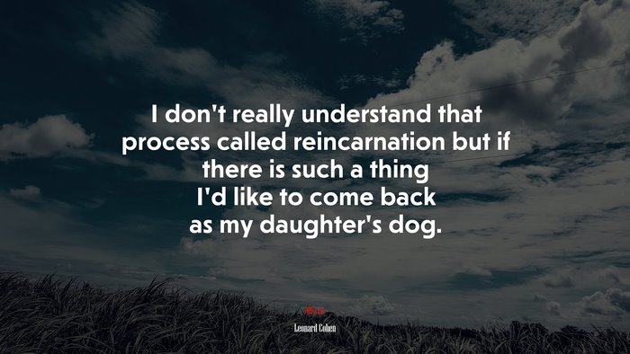I don’t really understand that process called reincarnation but if there is such a thing I’d like to come back as my daughter’s dog. | Leonard Cohen quote