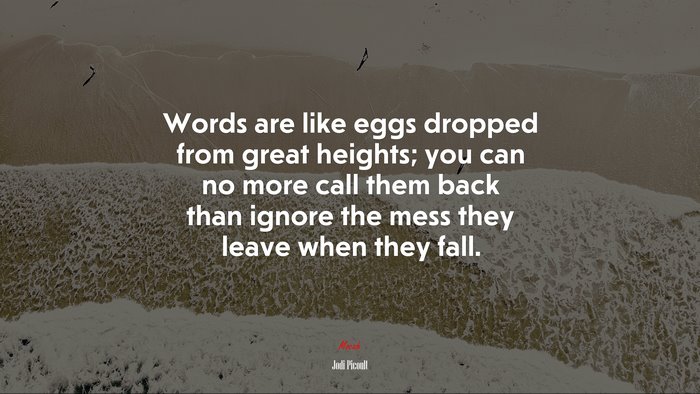 Words are like eggs dropped from great heights; you can no more call them back than ignore the mess they leave when they fall. | Jodi Picoult quote