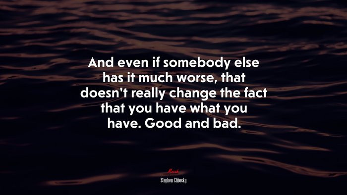 And even if somebody else has it much worse, that doesn’t really change the fact that you have what you have. Good and bad. | Stephen Chbosky quote