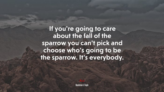 If you’re going to care about the fall of the sparrow you can’t pick and choose who’s going to be the sparrow. It’s everybody. | Madeleine LEngle quote
