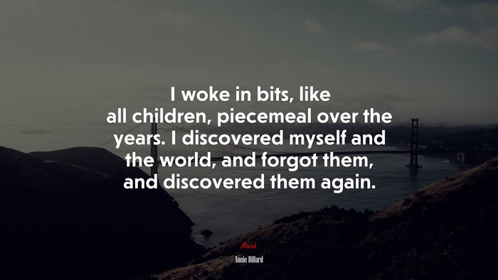 I woke in bits, like all children, piecemeal over the years. I discovered myself and the world, and forgot them, and discovered them again. | Annie Dillard quote