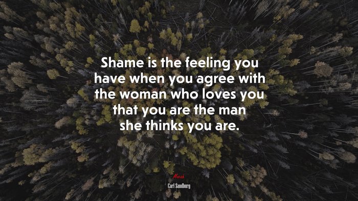 Shame is the feeling you have when you agree with the woman who loves you that you are the man she thinks you are. | Carl Sandburg quote