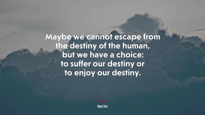 Maybe we cannot escape from the destiny of the human, but we have a choice: to suffer our destiny or to enjoy our destiny. | Miguel Ruiz quote