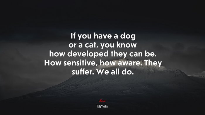 If you have a dog or a cat, you know how developed they can be. How sensitive, how aware. They suffer. We all do. | Lily Tomlin quote