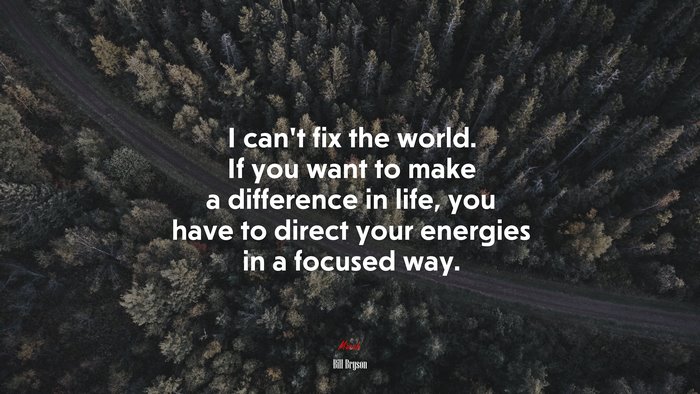 I can’t fix the world. If you want to make a difference in life, you have to direct your energies in a focused way. | Bill Bryson quote