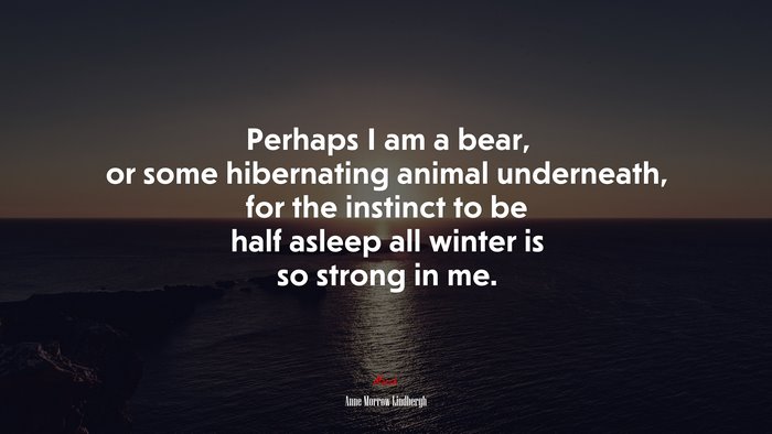 Perhaps I am a bear, or some hibernating animal underneath, for the instinct to be half asleep all winter is so strong in me. | Anne Morrow Lindbergh quote