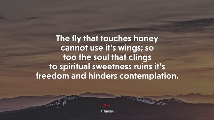 The fly that touches honey cannot use it’s wings; so too the soul that clings to spiritual sweetness ruins it’s freedom and hinders contemplation. | Sri Aurobindo quote