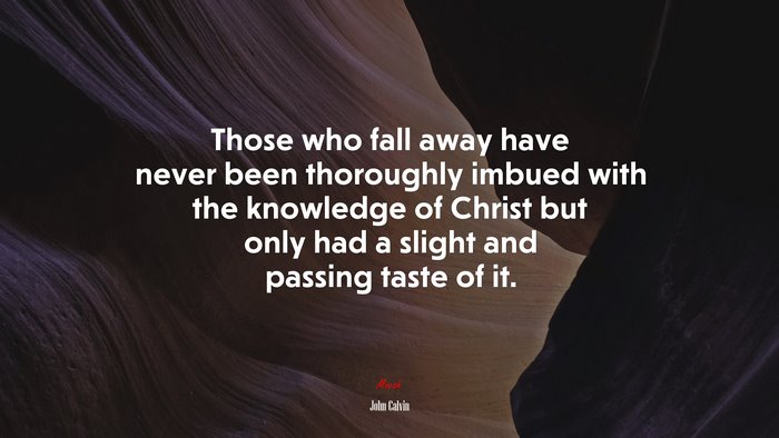 Those who fall away have never been thoroughly imbued with the knowledge of Christ but only had a slight and passing taste of it. | John Calvin quote