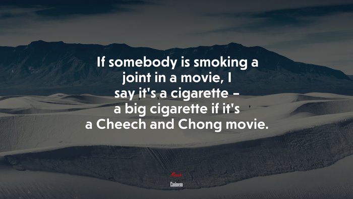 If somebody is smoking a joint in a movie, I say it’s a cigarette – a big cigarette if it’s a Cheech and Chong movie. | Eminem quote