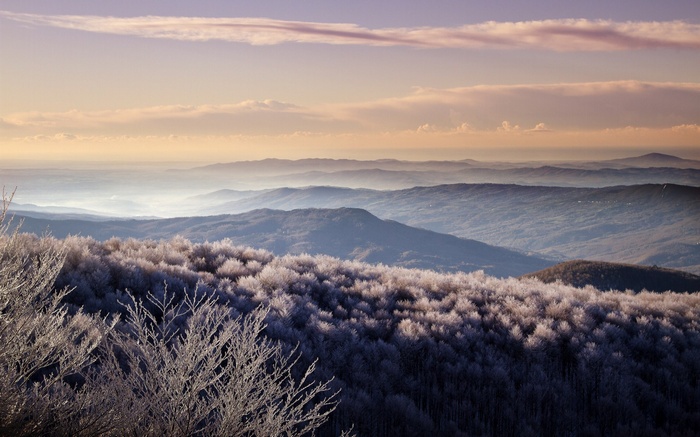 Frosted trees on a mountain range at sunrise