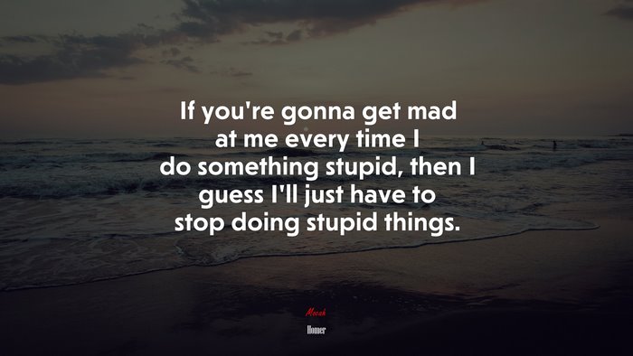 If you’re gonna get mad at me every time I do something stupid, then I guess I’ll just have to stop doing stupid things. | Homer quote