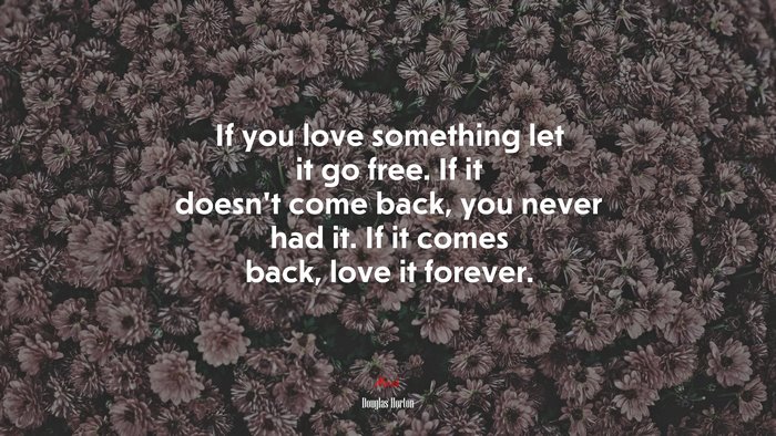 If you love something let it go free. If it doesn’t come back, you never had it. If it comes back, love it forever. | Douglas Horton quote