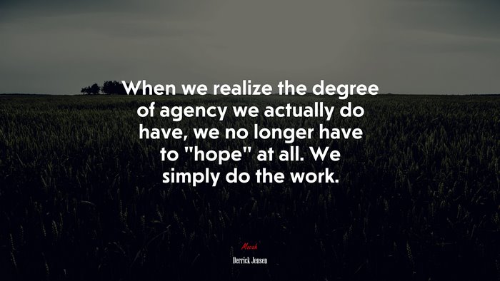 When we realize the degree of agency we actually do have, we no longer have to “hope” at all. We simply do the work. | Derrick Jensen quote