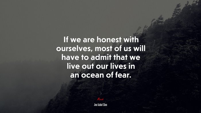 If we are honest with ourselves, most of us will have to admit that we live out our lives in an ocean of fear. | Jon Kabat-Zinn quote