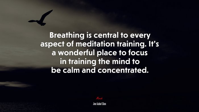 Meditation is not about feeling a certain way. It’s about feeling the ...