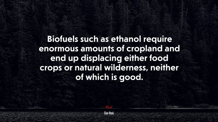 Biofuels such as ethanol require enormous amounts of cropland and end up displacing either food crops or natural wilderness, neither of which is good. | Elon Musk quote
