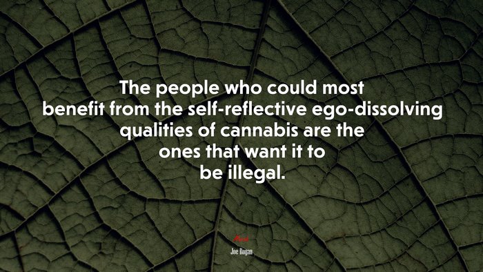 The people who could most benefit from the self-reflective ego-dissolving qualities of cannabis are the ones that want it to be illegal. | Joe Rogan quote