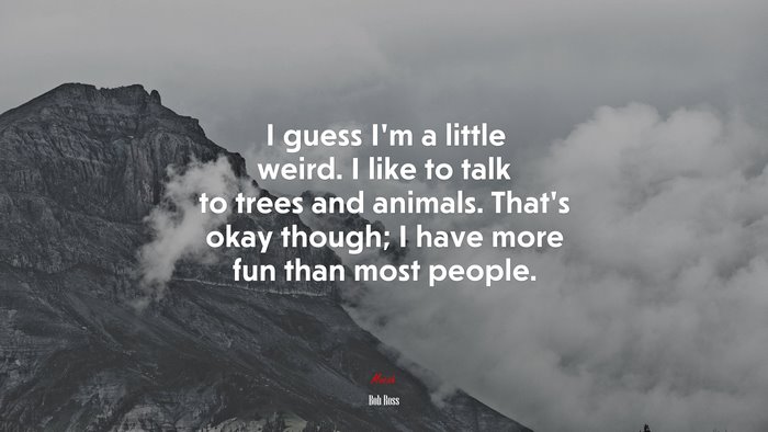 I guess I’m a little weird. I like to talk to trees and animals. That’s okay though; I have more fun than most people. | Bob Ross quote