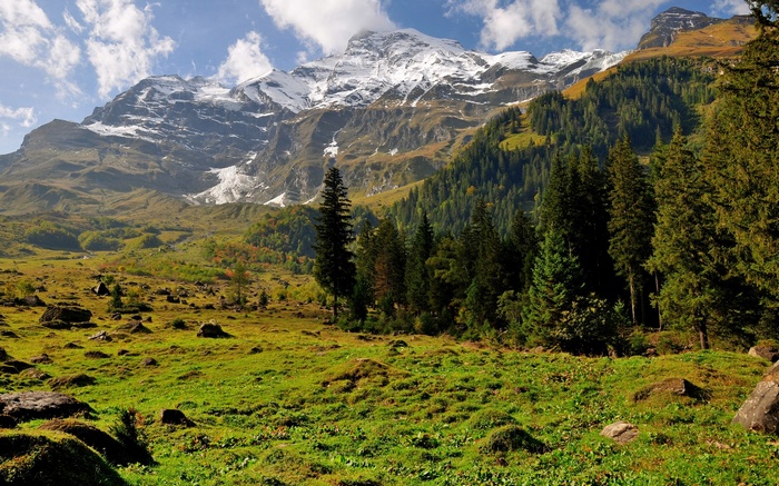 Snow-capped mountains above a green valley with pine trees