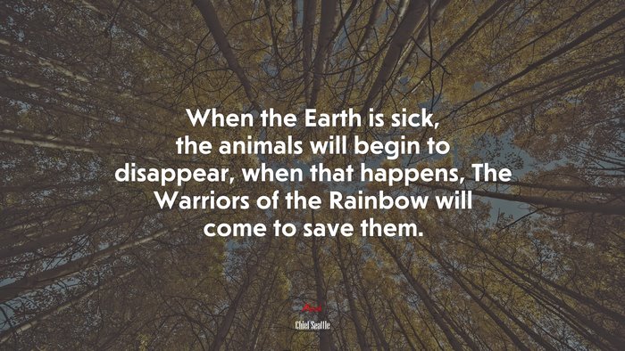 When the Earth is sick, the animals will begin to disappear, when that happens, The Warriors of the Rainbow will come to save them. | Chief Seattle quote