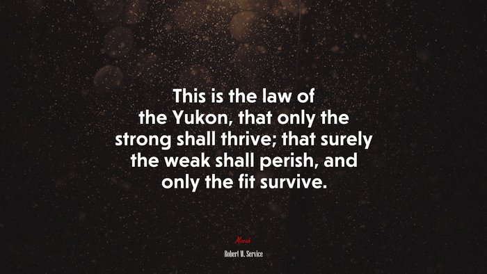This is the law of the Yukon, that only the strong shall thrive; that surely the weak shall perish, and only the fit survive. | Robert W. Service quote