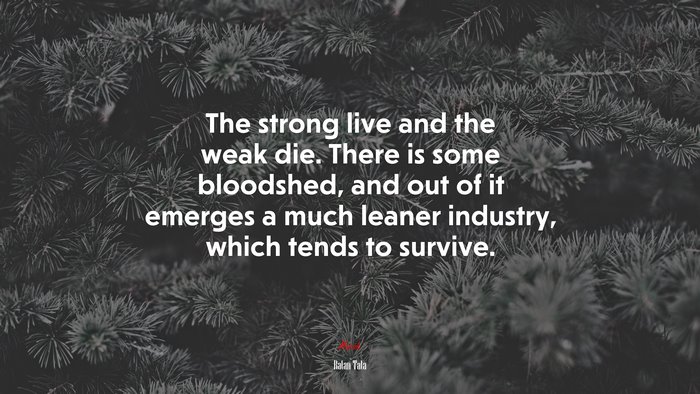 The strong live and the weak die. There is some bloodshed, and out of it emerges a much leaner industry, which tends to survive. | Ratan Tata quote