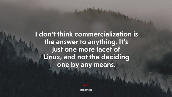 I don’t think commercialization is the answer to anything. It’s just one more facet of Linux, and not the deciding one by any means. | Linus Torvalds quote