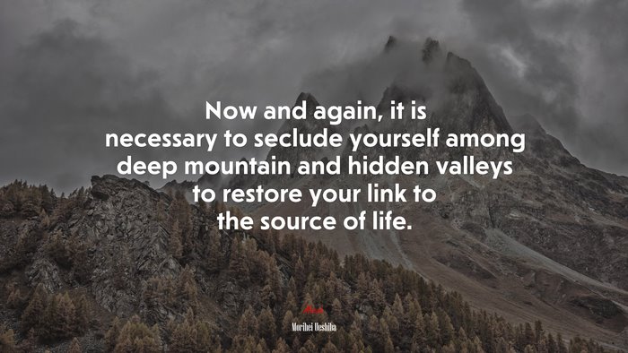 Now and again, it is necessary to seclude yourself among deep mountain and hidden valleys to restore your link to the source of life. | Morihei Ueshiba quote