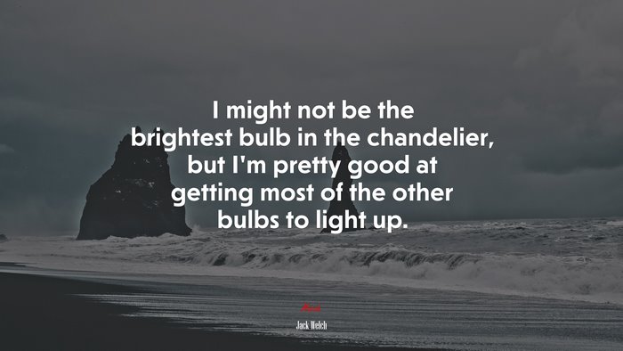 I might not be the brightest bulb in the chandelier, but I’m pretty good at getting most of the other bulbs to light up. | Jack Welch quote