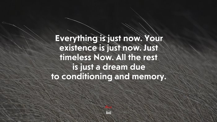 Everything is just now. Your existence is just now. Just timeless Now. All the rest is just a dream due to conditioning and memory. | Mooji quote