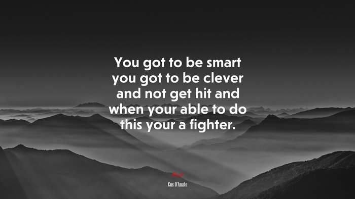 You got to be smart you got to be clever and not get hit and when your able to do this your a fighter. | Cus DAmato quote