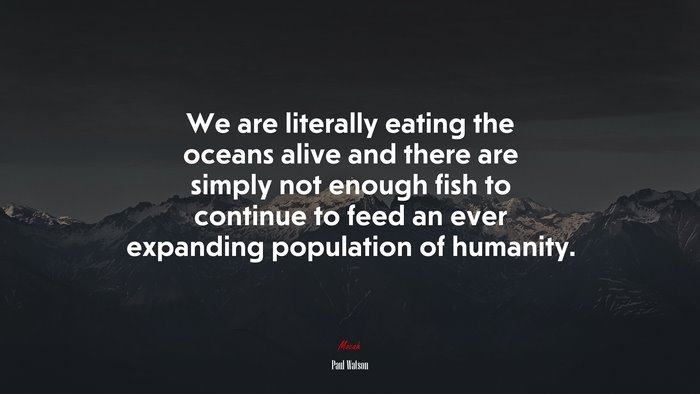 We are literally eating the oceans alive and there are simply not enough fish to continue to feed an ever expanding population of humanity. | Paul Watson quote