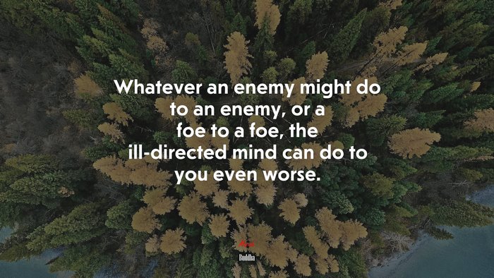 Whatever an enemy might do to an enemy, or a foe to a foe, the ill-directed mind can do to you even worse. | Buddha quote