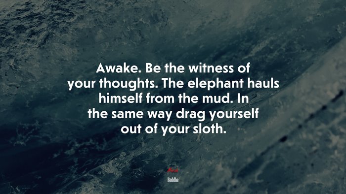 Awake. Be the witness of your thoughts. The elephant hauls himself from the mud. In the same way drag yourself out of your sloth. | Buddha quote