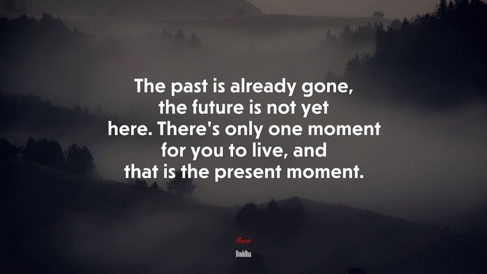 The past is already gone, the future is not yet here. There’s only one moment for you to live, and that is the present moment. | Buddha quote