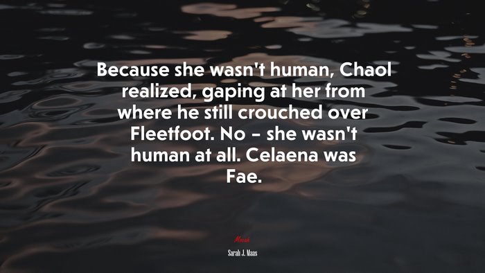 Because she wasn’t human, Chaol realized, gaping at her from where he still crouched over Fleetfoot. No – she wasn’t human at all. Celaena was Fae. | Sarah J. Maas quote