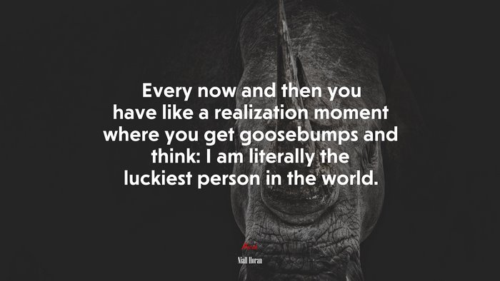 Every now and then you have like a realization moment where you get goosebumps and think: I am literally the luckiest person in the world. | Niall Horan quote