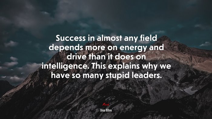 Success in almost any field depends more on energy and drive than it does on intelligence. This explains why we have so many stupid leaders. | Sloan Wilson quote
