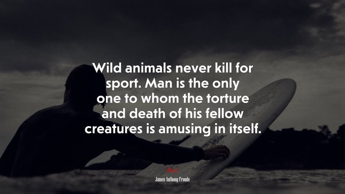 Wild animals never kill for sport. Man is the only one to whom the torture and death of his fellow creatures is amusing in itself. | James Anthony Froude quote