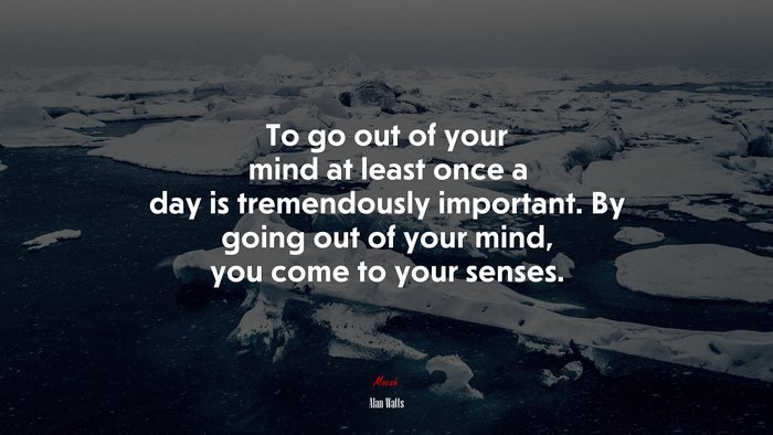 To go out of your mind at least once a day is tremendously important. By going out of your mind, you come to your senses. | Alan Watts quote