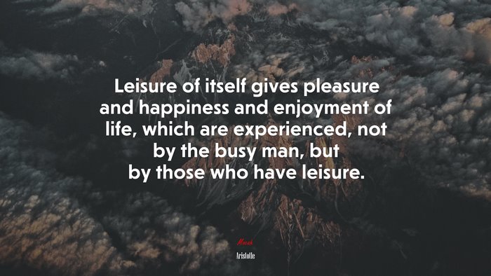 Leisure of itself gives pleasure and happiness and enjoyment of life, which are experienced, not by the busy man, but by those who have leisure. | Aristotle quote
