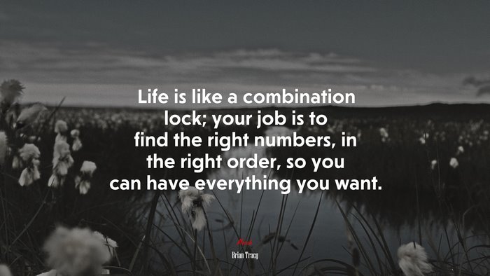 Life is like a combination lock; your job is to find the right numbers, in the right order, so you can have everything you want. | Brian Tracy quote
