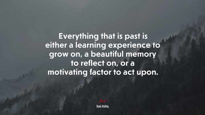Everything that is past is either a learning experience to grow on, a beautiful memory to reflect on, or a motivating factor to act upon. | Denis Waitley quote