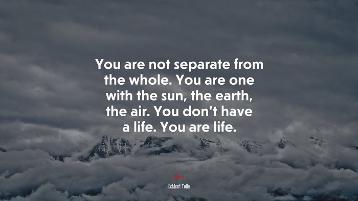 You are not separate from the whole. You are one with the sun, the earth, the air. You don’t have a life. You are life. | Eckhart Tolle quote