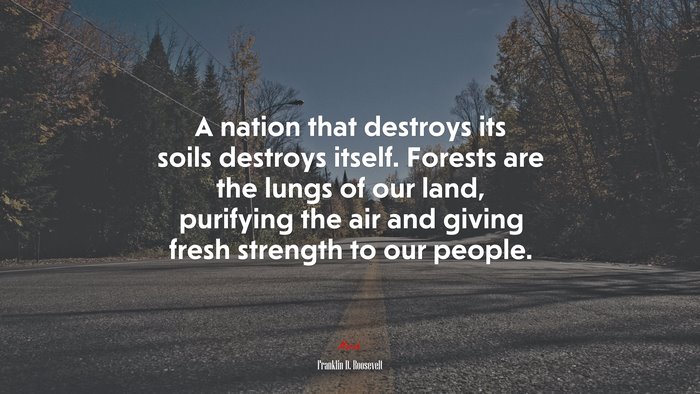 A nation that destroys its soils destroys itself. Forests are the lungs of our land, purifying the air and giving fresh strength to our people. | Franklin D. Roosevelt quote