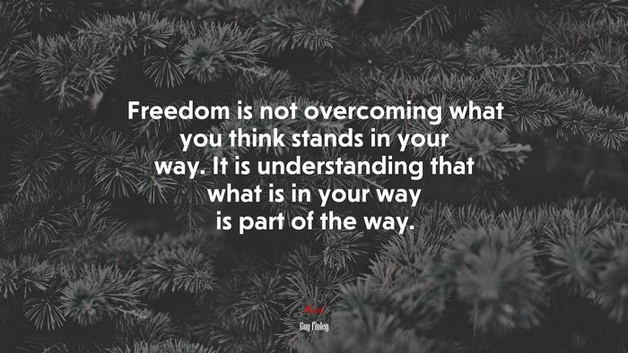 Freedom is not overcoming what you think stands in your way. It is understanding that what is in your way is part of the way. | Guy Finley quote