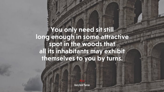 You only need sit still long enough in some attractive spot in the woods that all its inhabitants may exhibit themselves to you by turns. | Henry David Thoreau quote