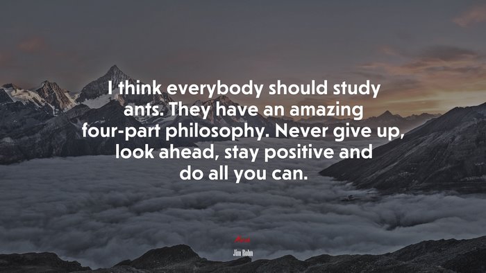 I think everybody should study ants. They have an amazing four-part philosophy. Never give up, look ahead, stay positive and do all you can. | Jim Rohn quote