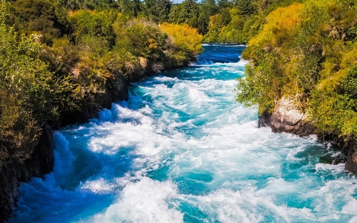 A powerful river flows through a rocky gorge with trees.